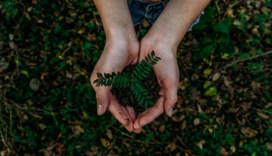 Woman holding a plant symbolizing eco-friendliness